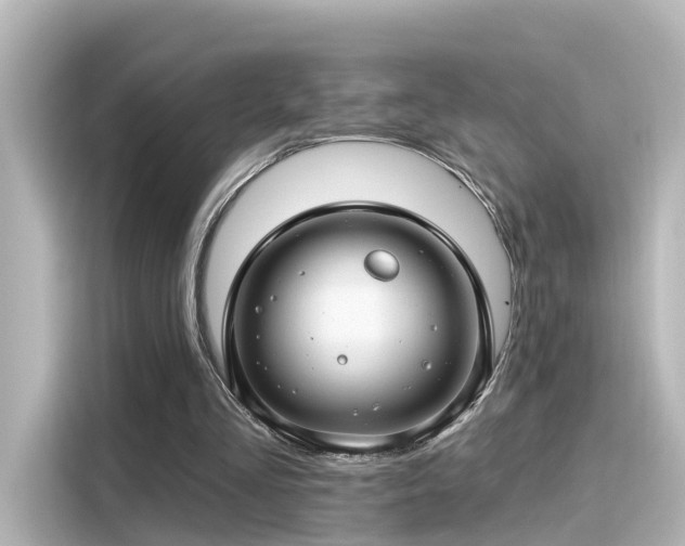 X0000116160293200911301607