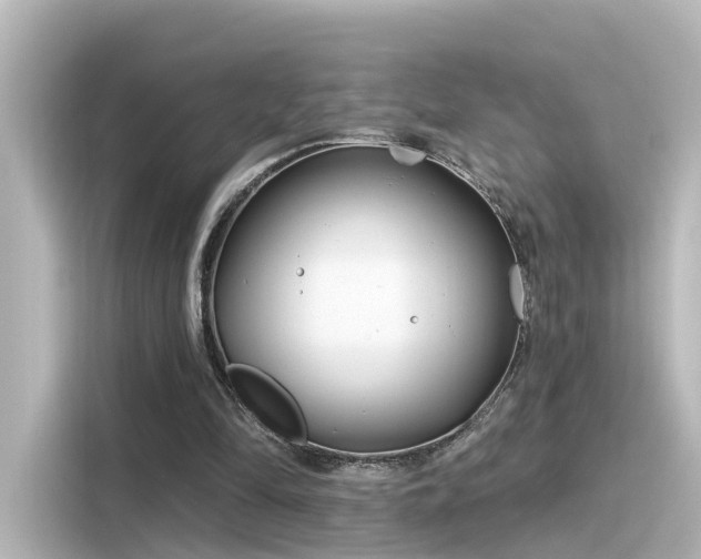 X0000116160294200911301607