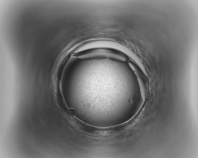 X0000116160295200911301607