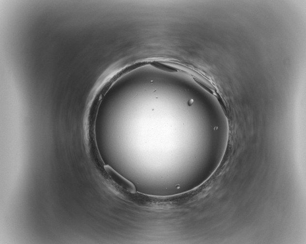 X0000116160296200911301607