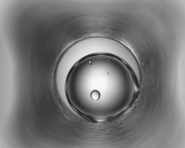 X0000116160297200911301607