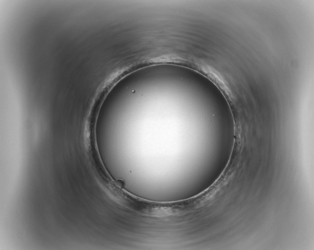 X0000116160298200911301607