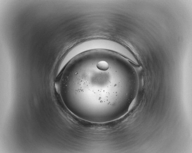 X0000116160299200911301607