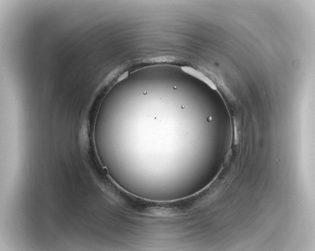 X0000116160300200911301607