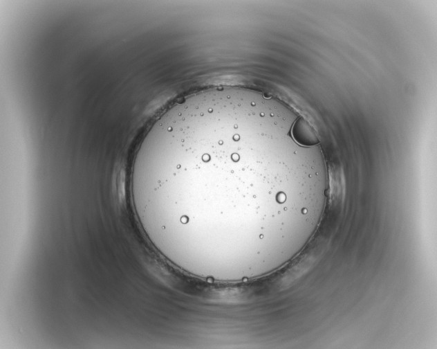 X0000116160301200911301607