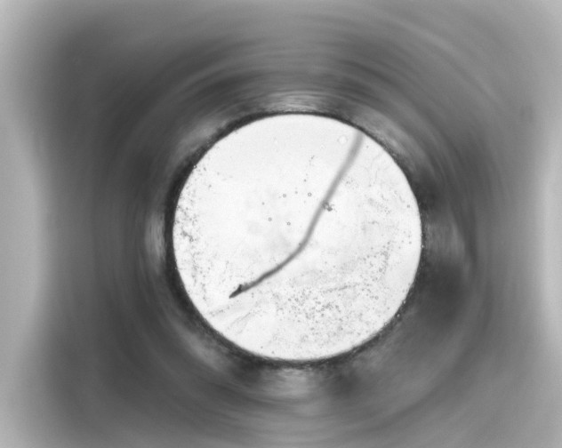 X0000116160302200911301607