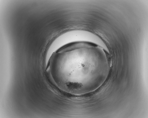 X0000116160303200911301607