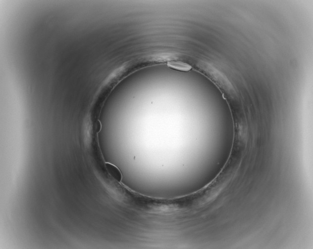 X0000116160304200911301607