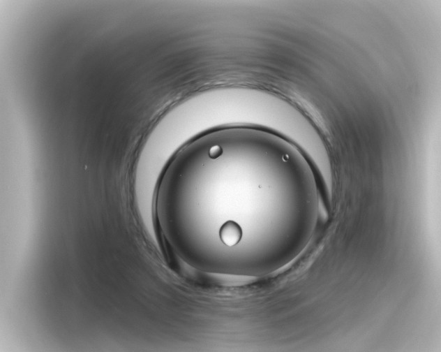 X0000116160305200911301607