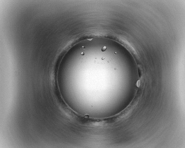 X0000116160306200911301607