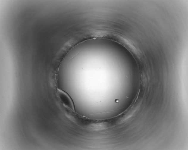 X0000116160307200911301607