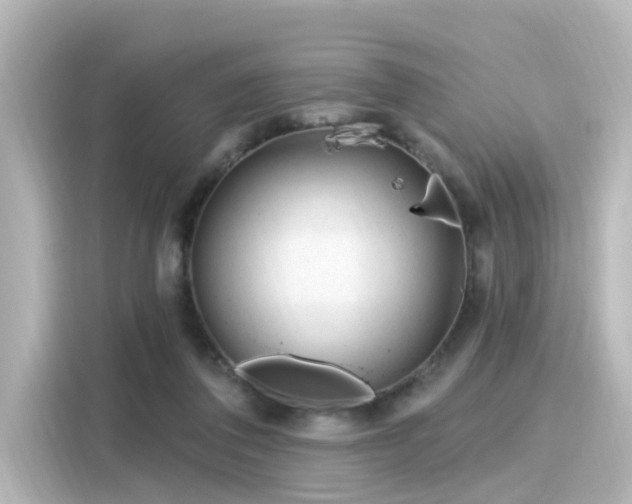 X0000116160308200911301607