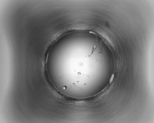 X0000116160309200911301607