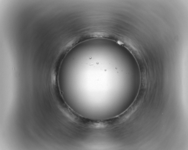 X0000116160310200911301607