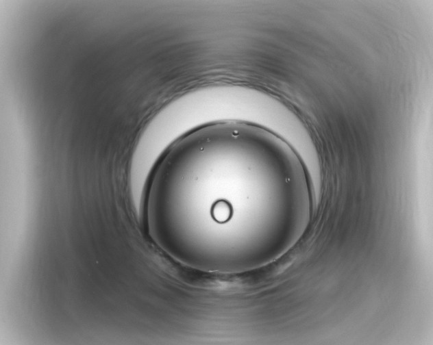 X0000116160317200911301607