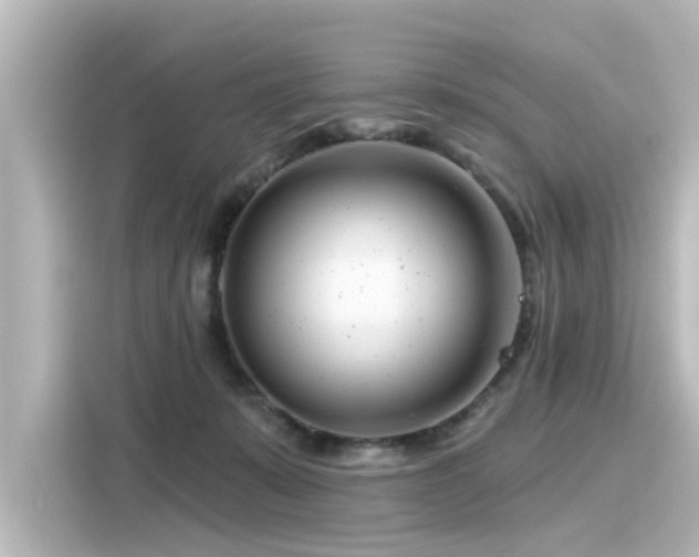 X0000116160319200911301607