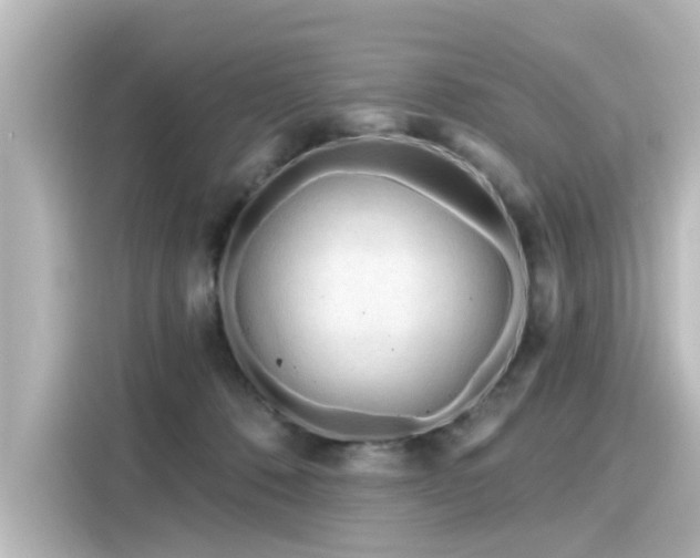 X0000116160320200911301607