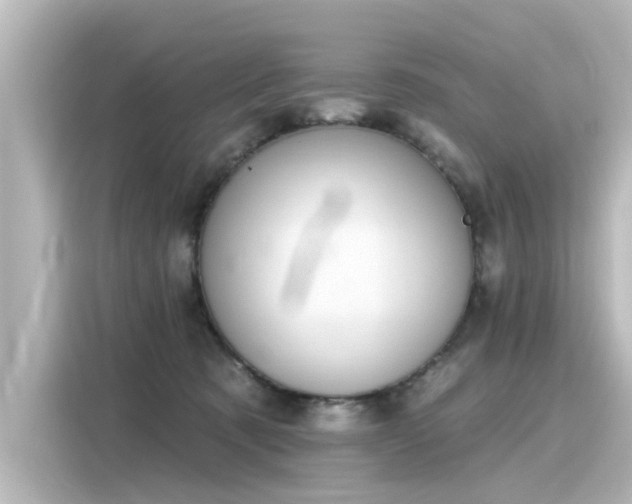 X0000116160321200911301607