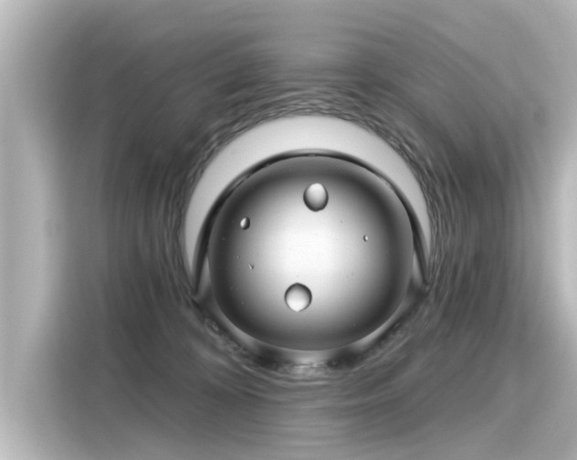 X0000116160324200911301607