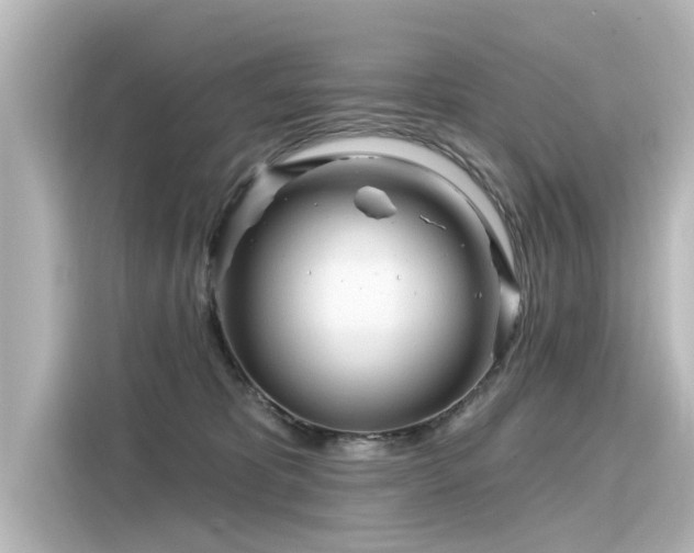 X0000116160325200911301607