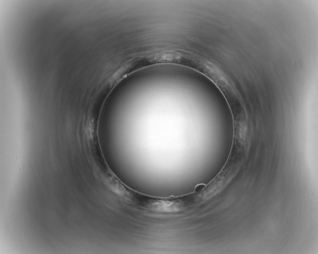 X0000116160326200911301607