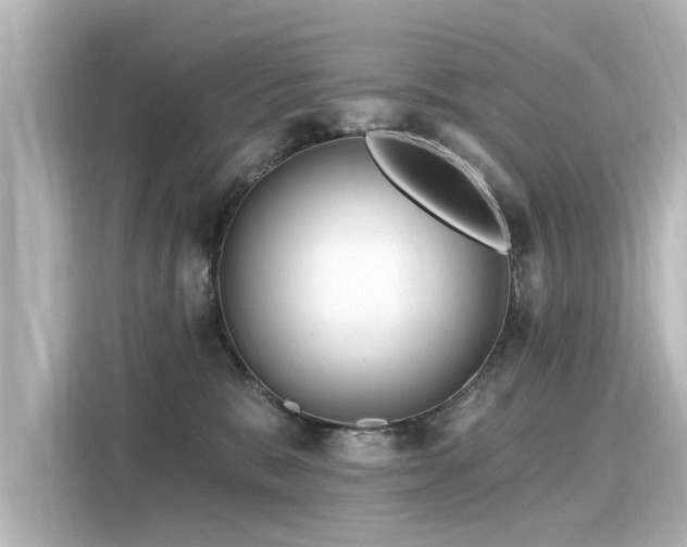 X0000116160327200911301607