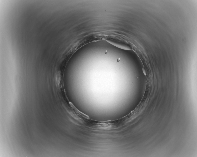 X0000116160328200911301607