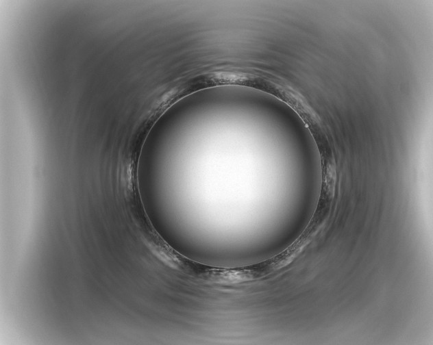 X0000116160330200911301607