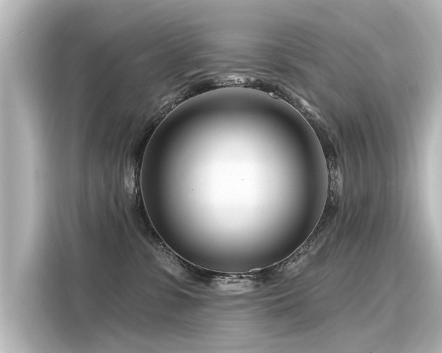 X0000116160331200911301607