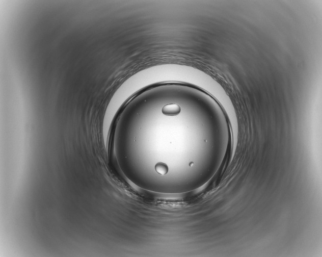 X0000116160332200911301607