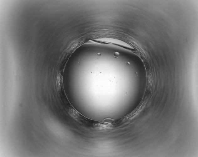 X0000116160333200911301607