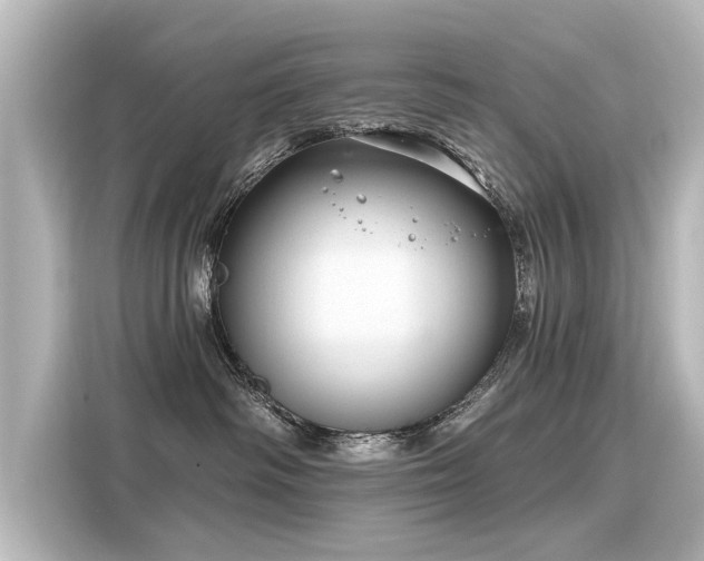 X0000116160334200911301607