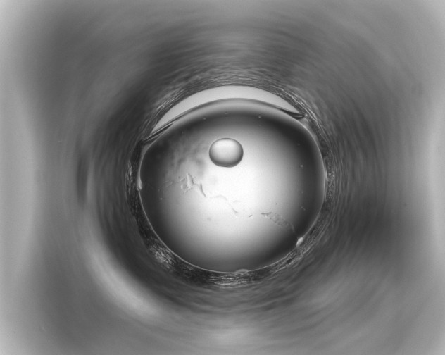 X0000116160335200911301607