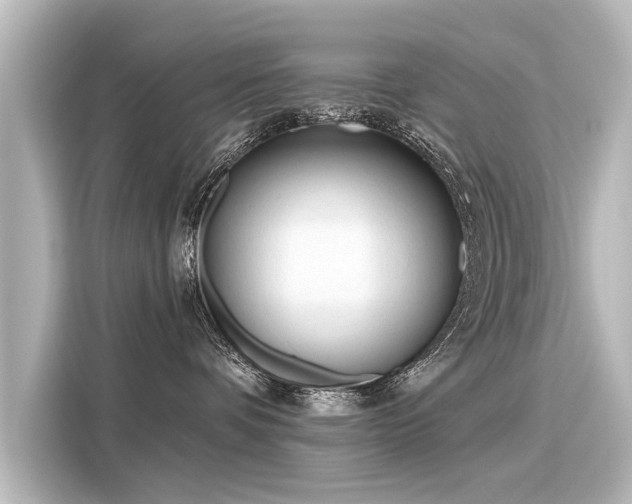 X0000116160336200911301607