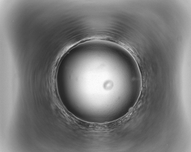 X0000116160337200911301606