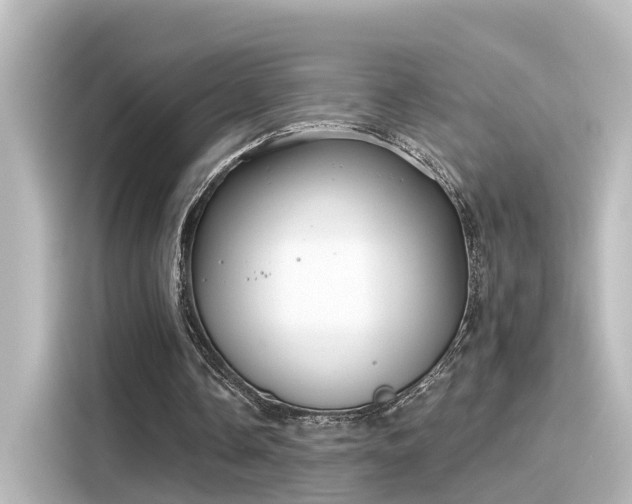 X0000116160338200911301606