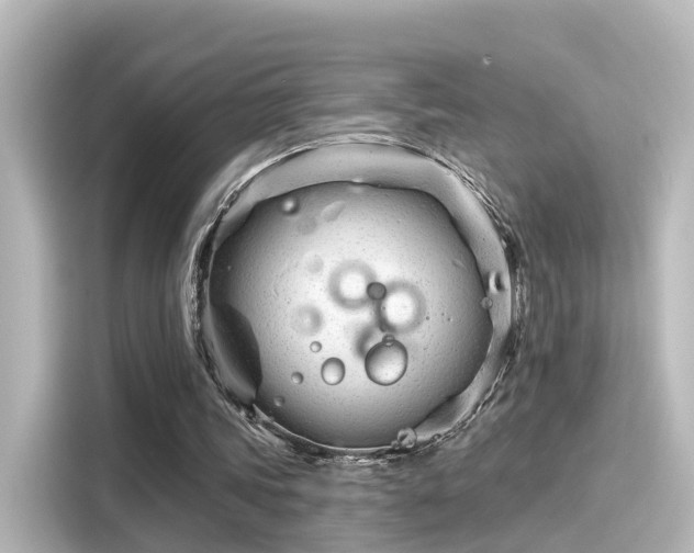 X0000116160339200911301606