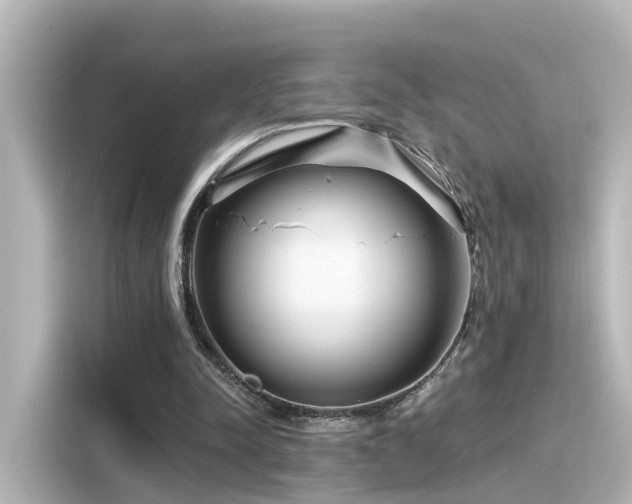 X0000116160342200911301606