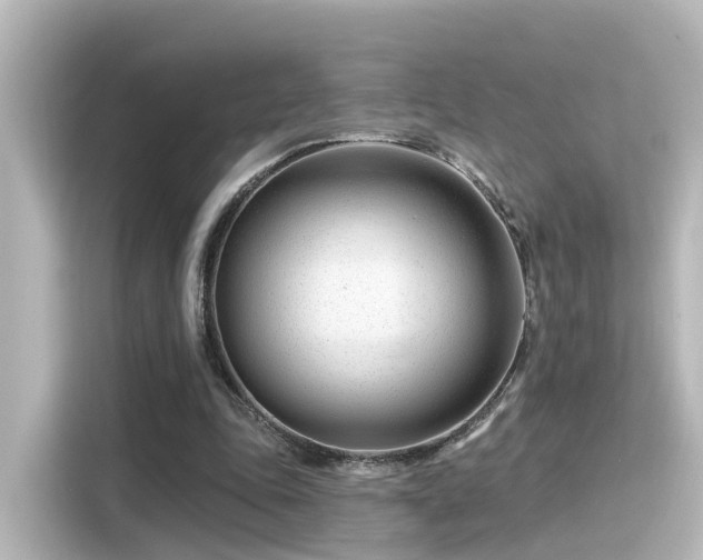 X0000116160343200911301606