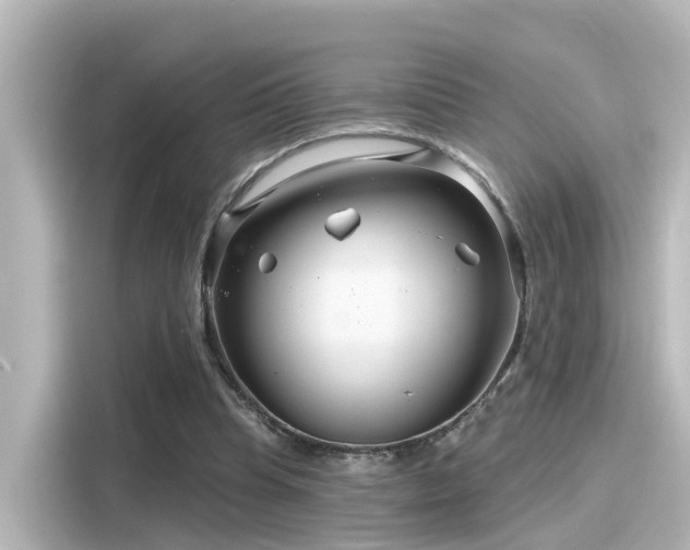 X0000116160345200911301606