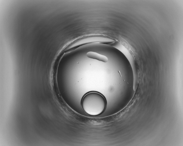 X0000116160346200911301606