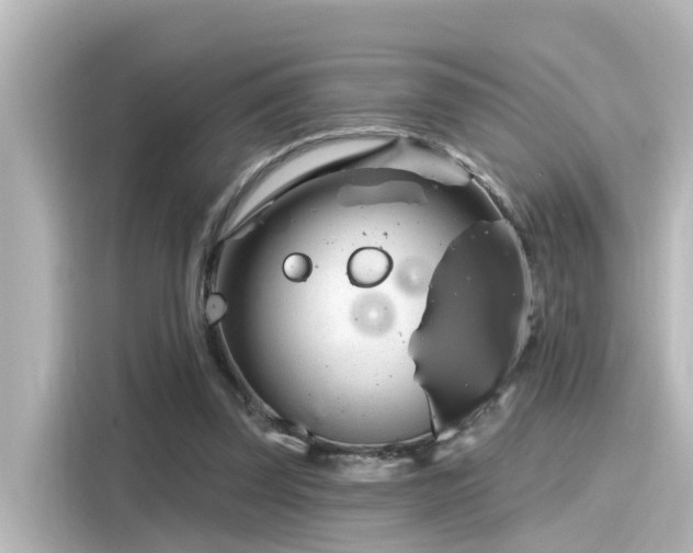 X0000116160347200911301606