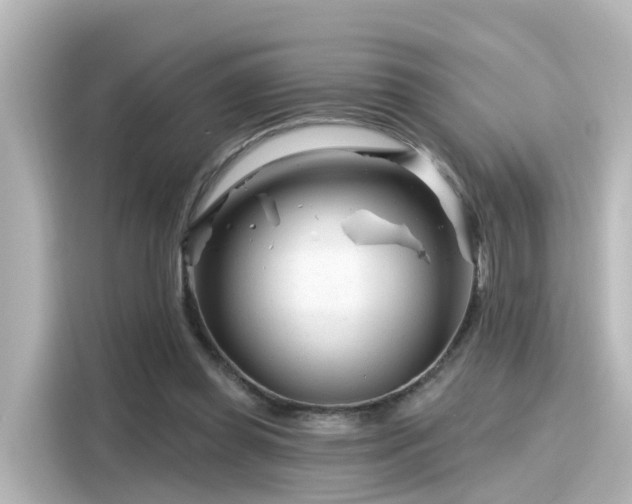 X0000116160349200911301606