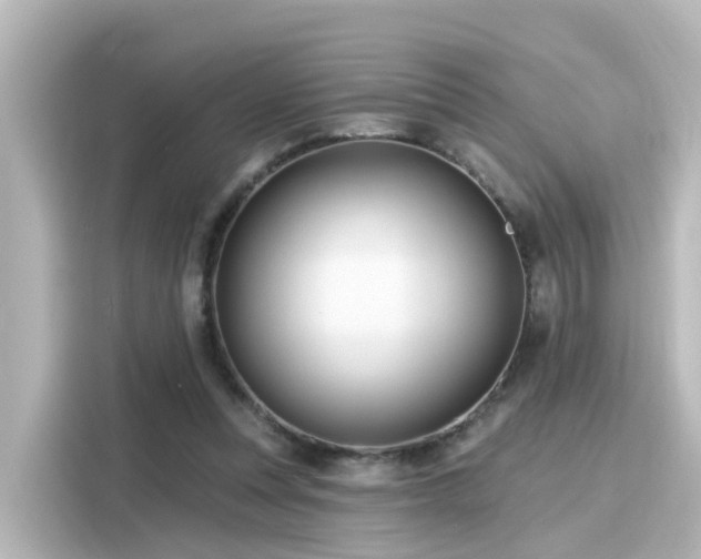 X0000116160351200911301606