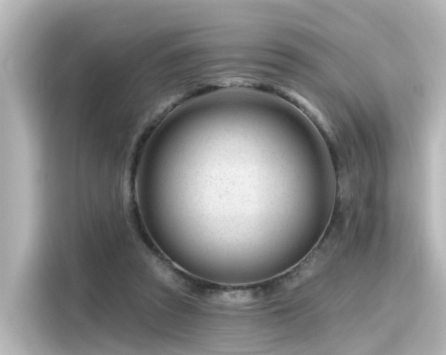 X0000116160353200911301606