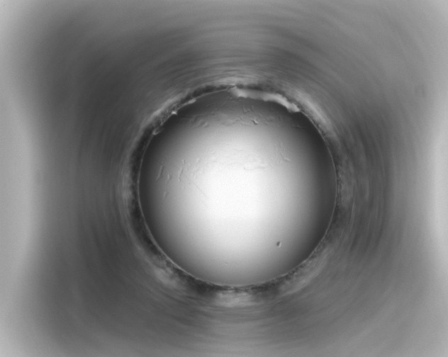 X0000116160354200911301606