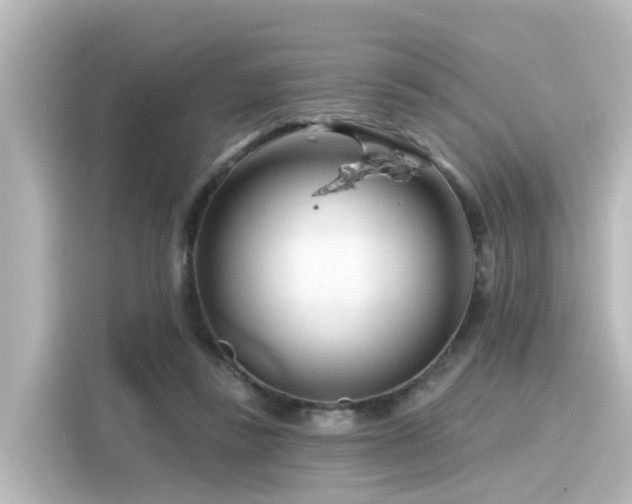 X0000116160355200911301606