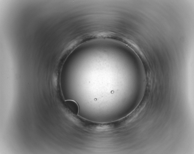 X0000116160357200911301606