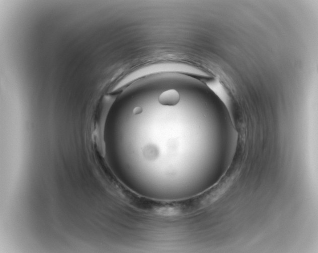 X0000116160358200911301606