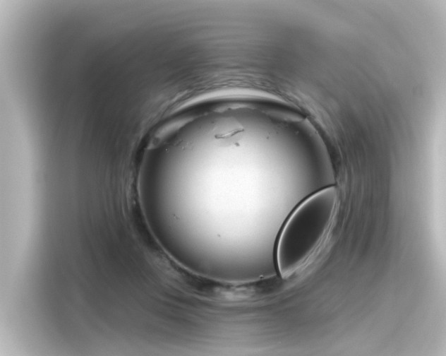 X0000116160359200911301606